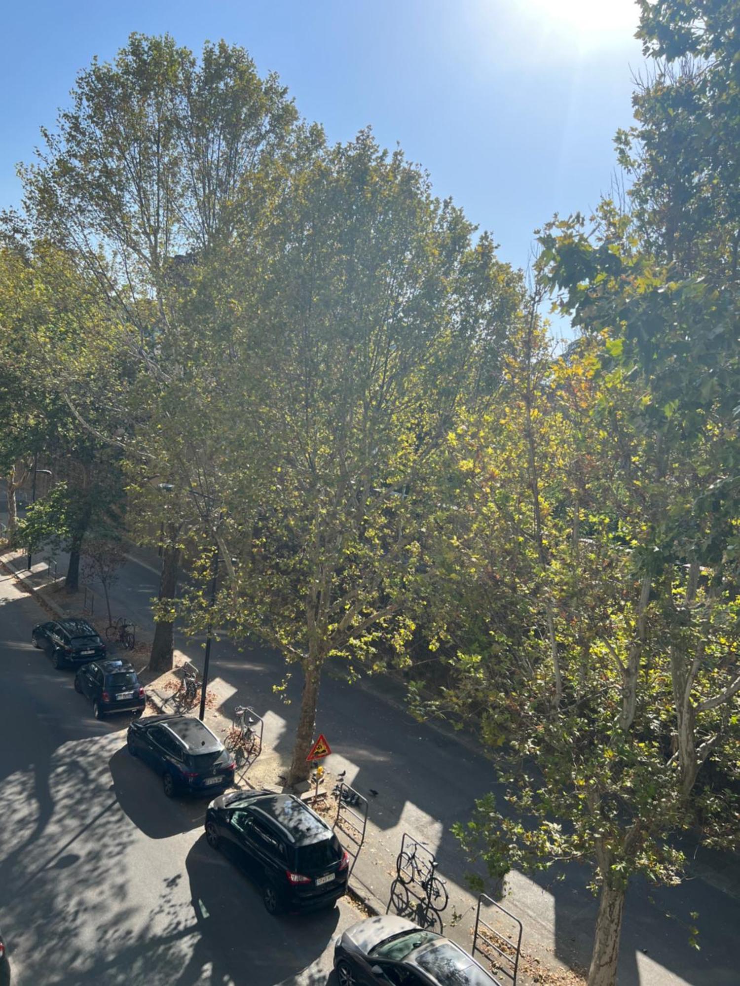 Santa Rosa Florence Apartments 3 Bedrooms - Private Parking Dış mekan fotoğraf